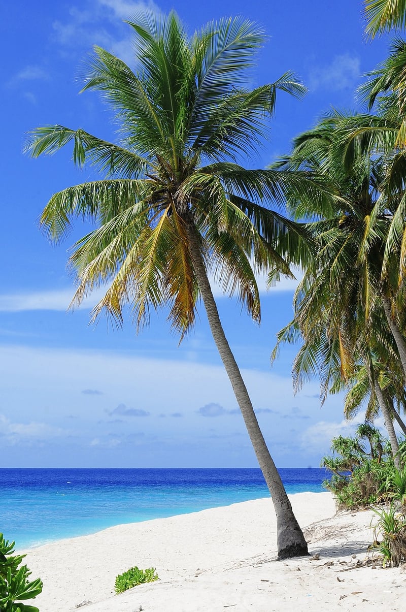 The Maldives